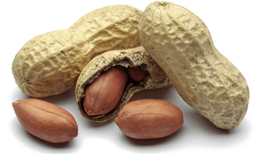 Peanut Png Free Download - Peanut@nicepng.com